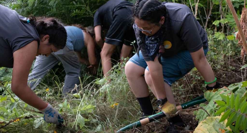 a group of students do weed mitigation as part of a service project with outward bound